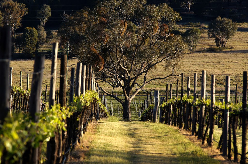 Twisted River Wines | food | 6056 Henry Parkes Way, Manildra NSW 2865, Australia | 0263645447 OR +61 2 6364 5447