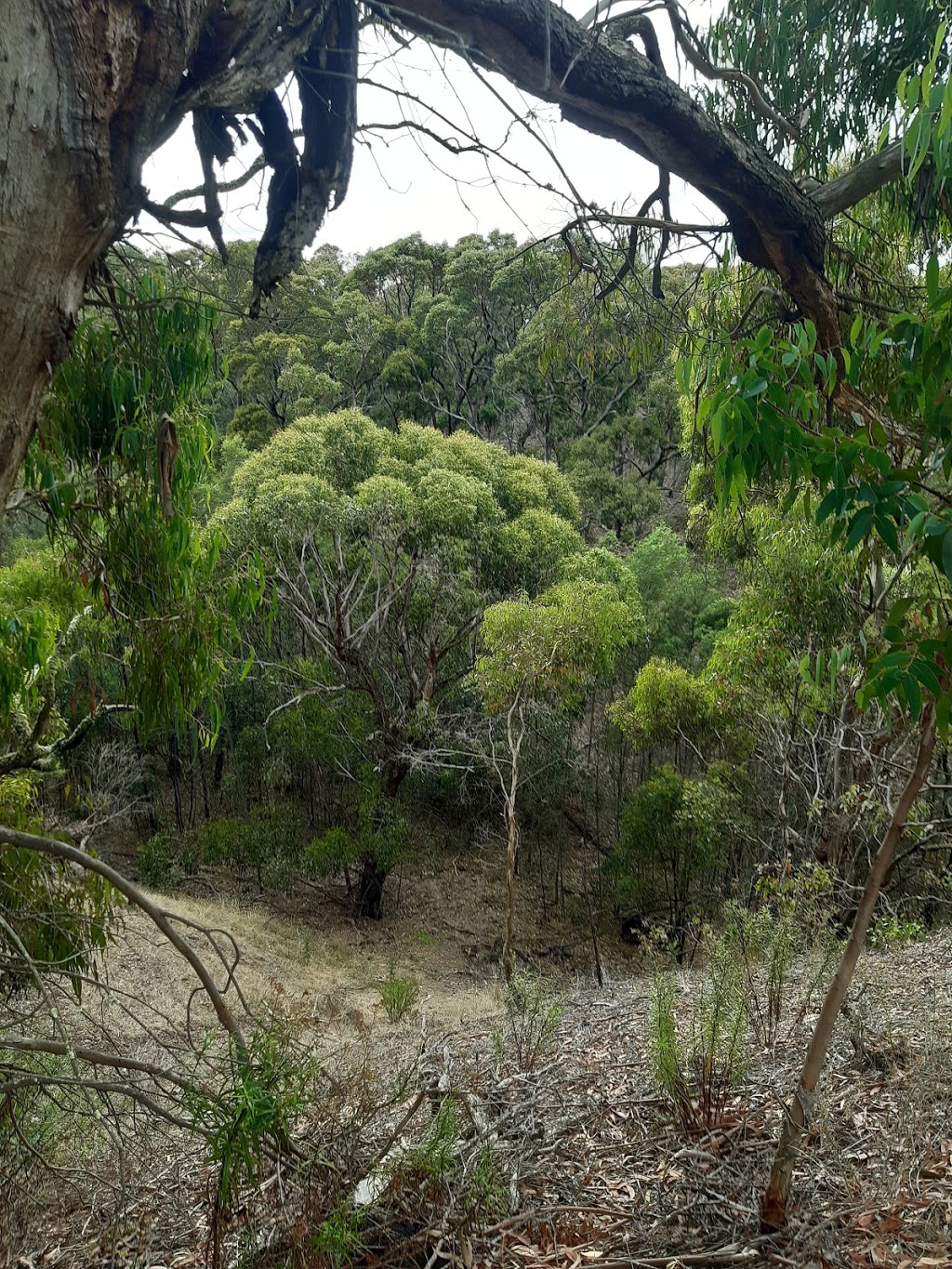 Anakie Gorge Picnic Area |  | Brisbane Ranges National Park, Anakie Gorge Walk, Staughton Vale VIC 3340, Australia | 131963 OR +61 131963