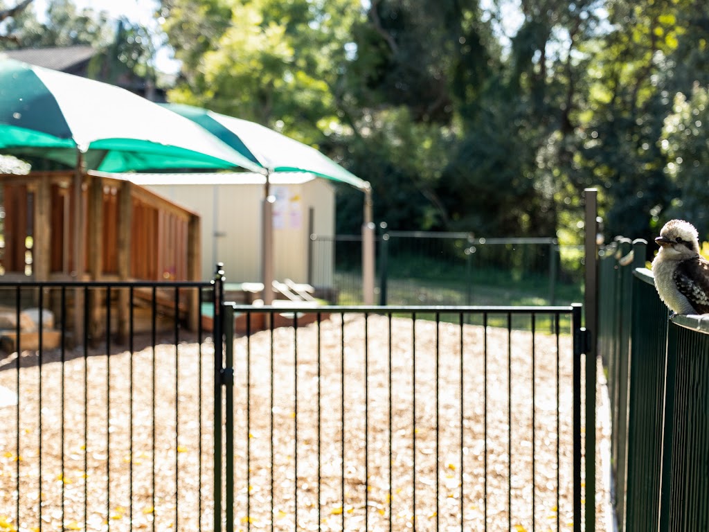Big Bear Academy North Rocks | 132 N Rocks Rd, North Rocks NSW 2151, Australia | Phone: (02) 9630 2249