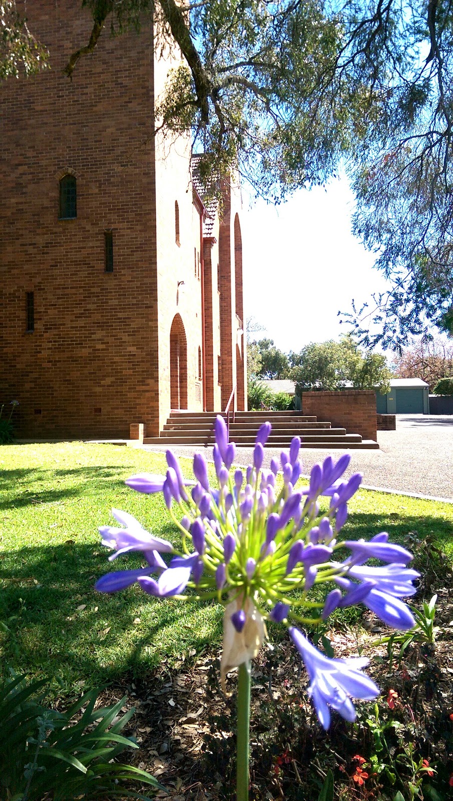 Saint Alban the Martyr Anglican Cathedral | church | 107 Binya St, Griffith NSW 2680, Australia