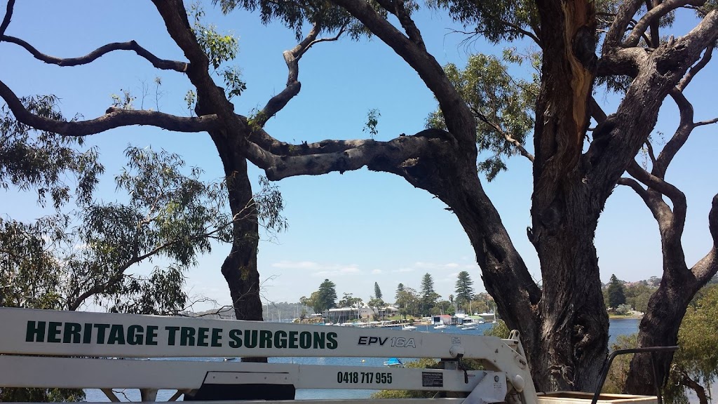 W.A Heritage Tree Surgeons Perth | 1 Mciness Ct, Greenwood WA 6024, Australia | Phone: 0418 717 955