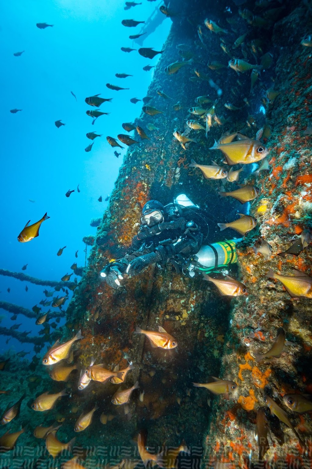 Emmersion Underwater | 2/103 Flora Terrace, North Beach WA 6020, Australia | Phone: 0424 776 633