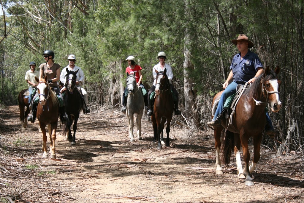 Bellrowan Valley Horse Riding | travel agency | 20 Crows Rd, Mortons Creek NSW 2446, Australia | 0265875227 OR +61 2 6587 5227
