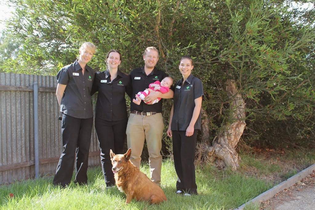 Yankalilla Veterinary Clinic | 83 Main St, Yankalilla SA 5203, Australia | Phone: (08) 8558 3777