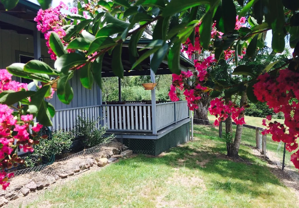 The Old Schoolmasters Cottage on the Barrington River | 404 Barrington E Rd, Barrington NSW 2422, Australia | Phone: 0427 589 075