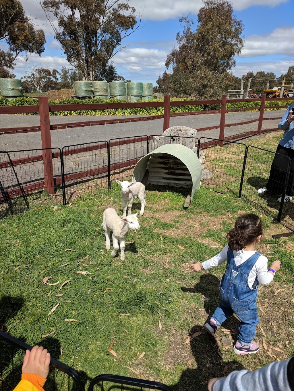 Animal Land childrens farm | school | 200 Duncans Ln, Diggers Rest VIC 3427, Australia | 0397401345 OR +61 3 9740 1345