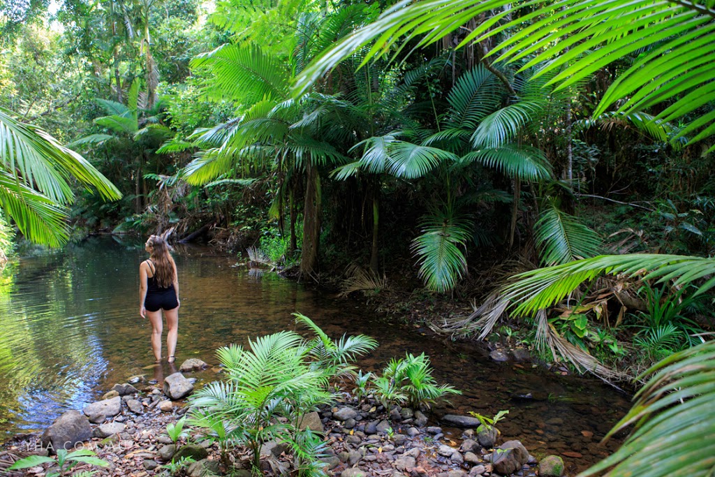 Mission Beach YHA | lodging | 76 Holland St, Wongaling Beach QLD 4852, Australia | 0740688676 OR +61 7 4068 8676