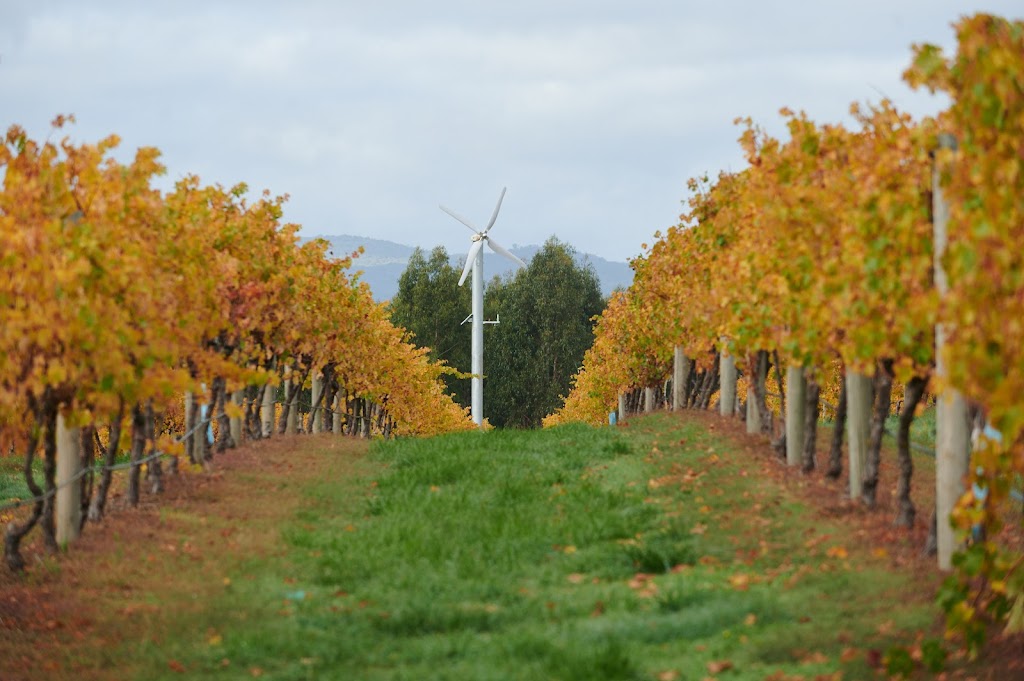 Glenhope Vineyard | 2115 Burke and Wills Track, Baynton VIC 3444, Australia | Phone: 0418 370 720