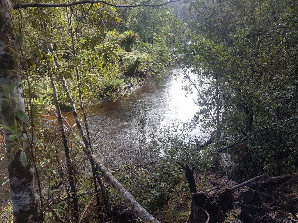 Fernglade Reserve Lookout | 137 Rutherford Rd, Stowport TAS 7321, Australia