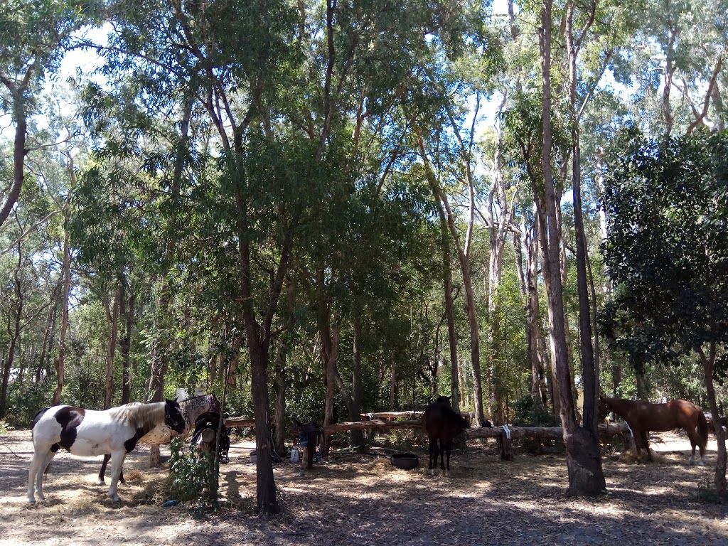 Saddle Me Up | 32 Heron Cl, Moore Park Beach QLD 4670, Australia | Phone: (07) 4159 8782