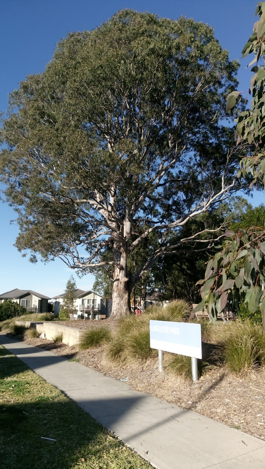 Lancaster Park | park | 30 Truscott Ave, Middleton Grange NSW 2171, Australia