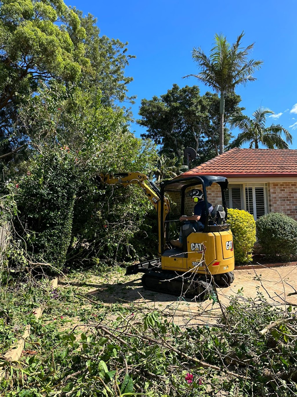 Pro Arborists northern beaches | 42A Tennyson Rd, Cromer NSW 2099, Australia | Phone: 0452 200 715