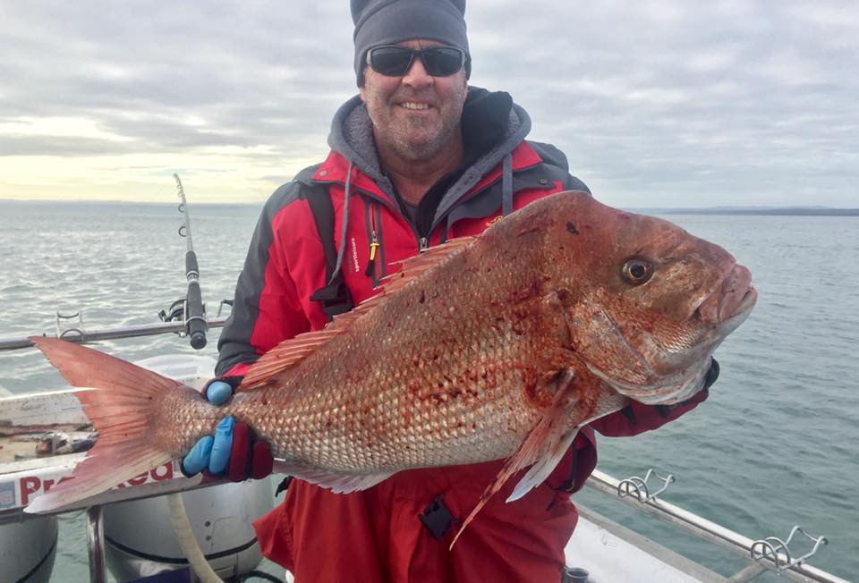 Pro Red Fishing Charters Melbourne | 1 Schnapper Point Dr, Mornington VIC 3931, Australia | Phone: 0421 442 775