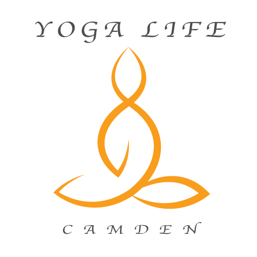 Yoga Life Camden - 1st Camden Scout Hall | school | 41 Bowman Ave, Camden South NSW 2570, Australia | 0419182278 OR +61 419 182 278
