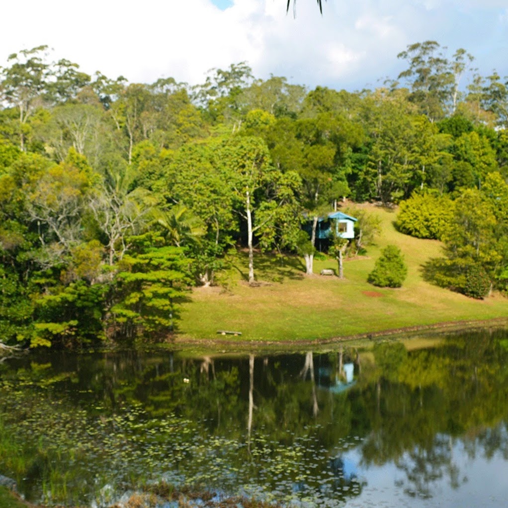 Montville Country Cabins | 396 Western Ave, Montville QLD 4560, Australia | Phone: (07) 5442 9484