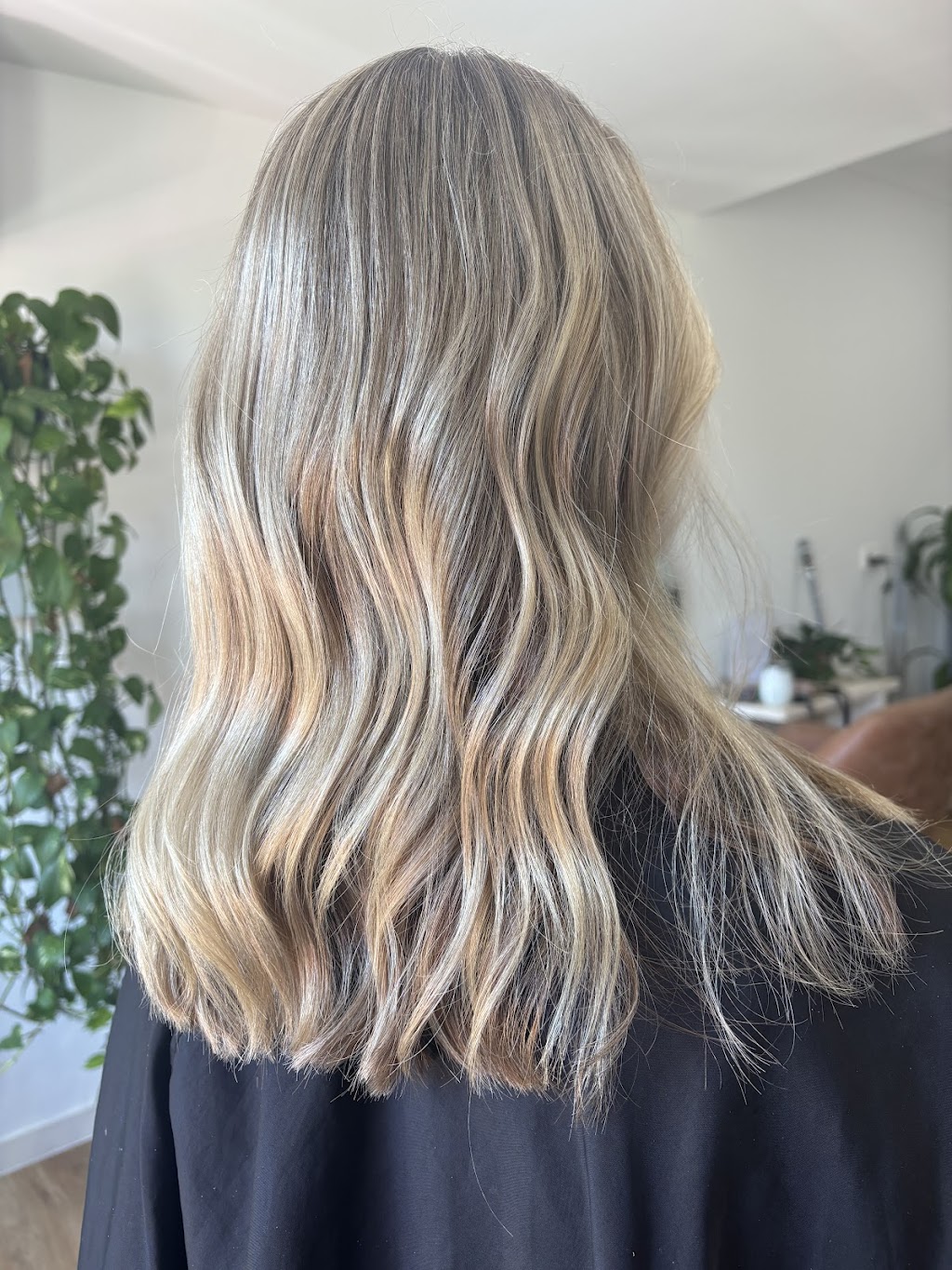 Ally The Hair Studio | 37 Carlingford Cct, Warner QLD 4500, Australia | Phone: 0412 429 321