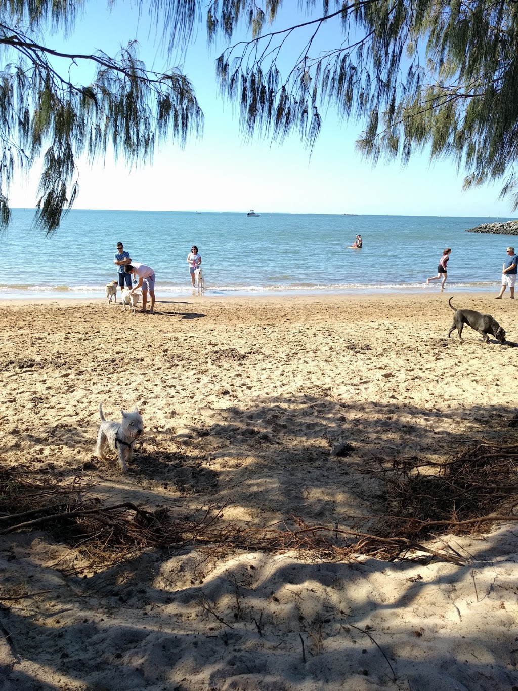 Raby Bay Foreshore Dog Off Leash Beach | park | Cleveland QLD 4163, Australia