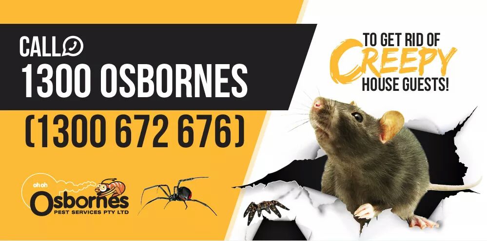 Osbornes Pest Services P/L | 26 Maryborough St, Granville QLD 4650, Australia | Phone: 1300 672 676