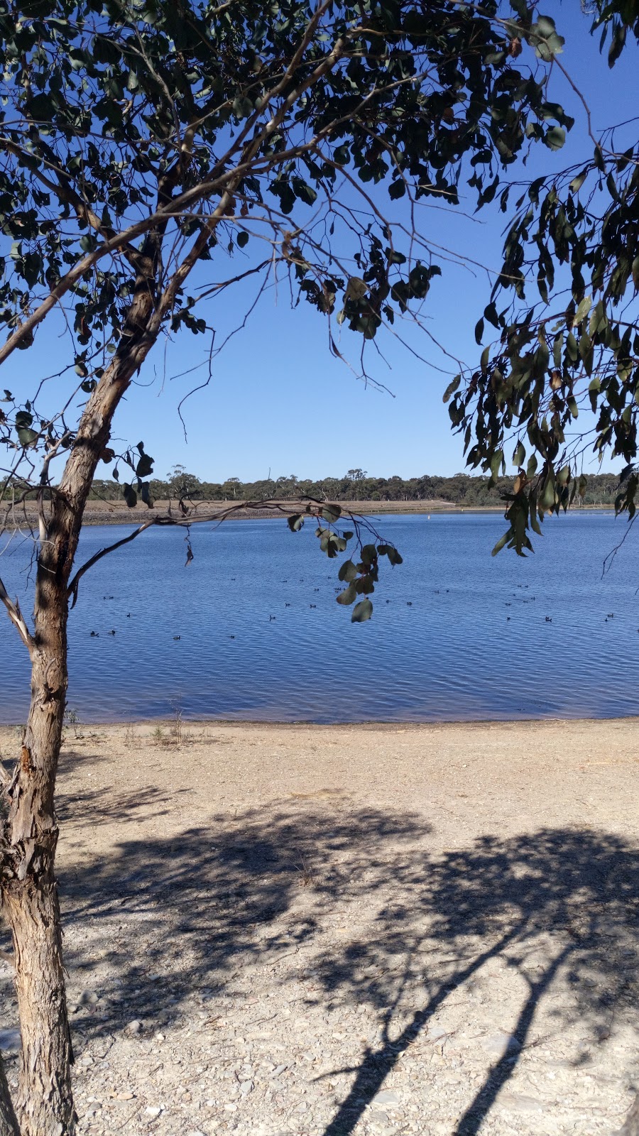 Crusoe Reservoir | Crusoe Rd, Kangaroo Flat VIC 3555, Australia