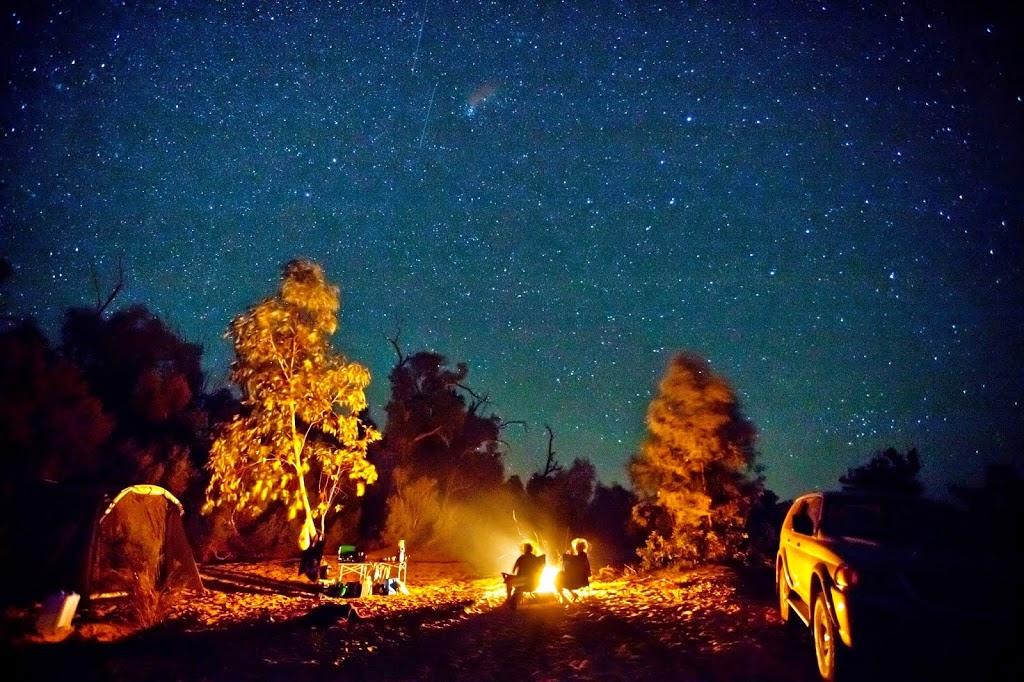 BCF (Boating Camping Fishing) Taylors Beach | 4, Unit B/6 Innovation Cl, Taylors Beach NSW 2316, Australia | Phone: (02) 4919 0458