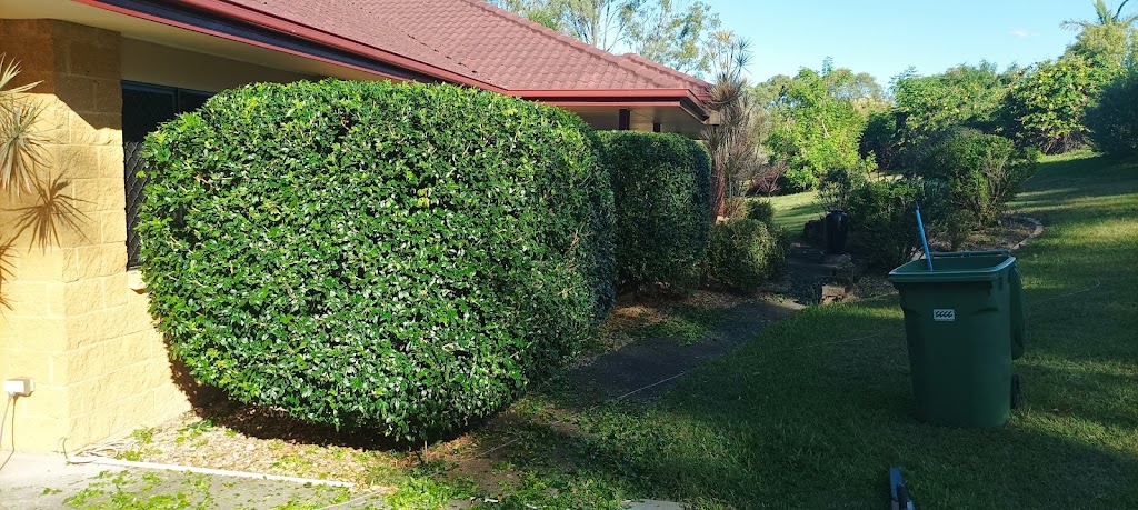 House Huggie | 9 Masters St, Arundel QLD 4215, Australia | Phone: 0403 116 565