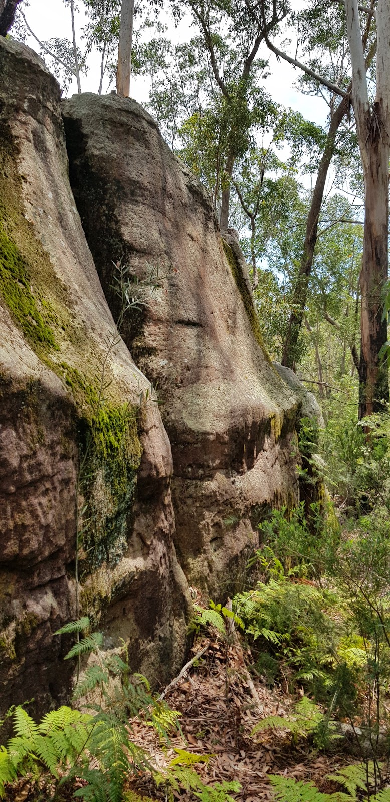 Natural Arch | Trevors Ln Trail, Cherrybrook NSW 2126, Australia