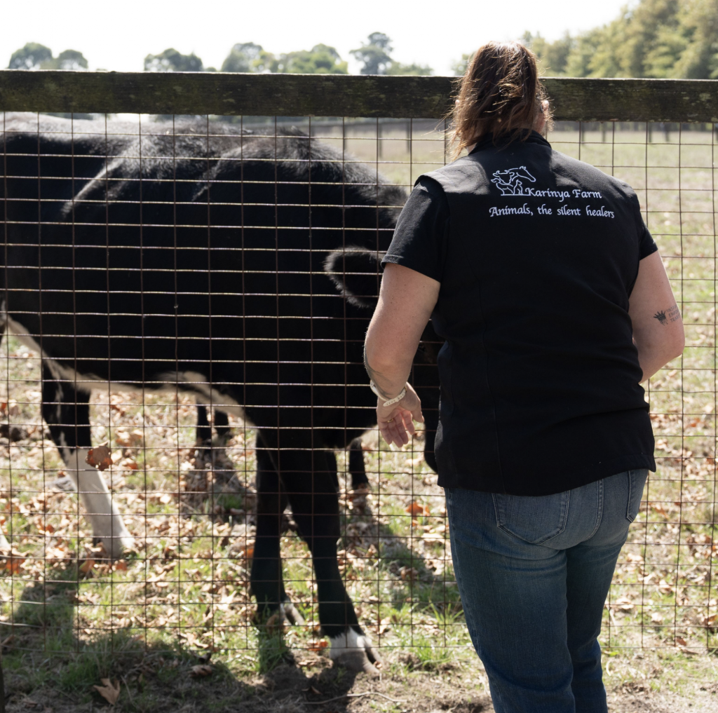 Karinya Farm - Regulate & Connect | 65 Five Mile Rd, Pakenham South VIC 3810, Australia | Phone: 0478 675 943