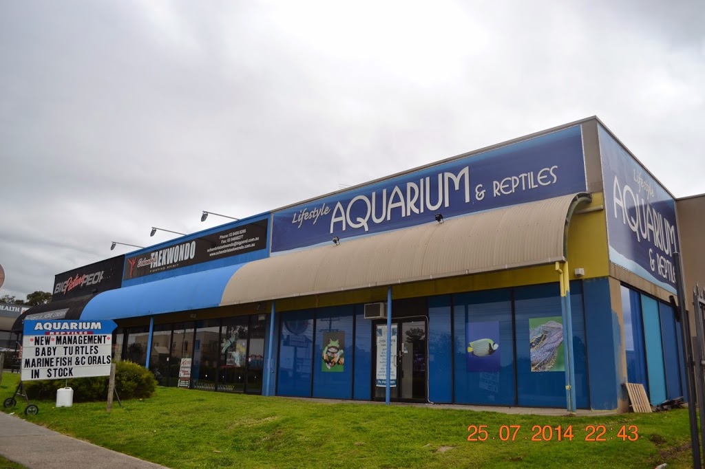 Lifestyle Aquarium & Reptiles | 13/445 Grimshaw St, Bundoora VIC 3083, Australia | Phone: (03) 9466 7881