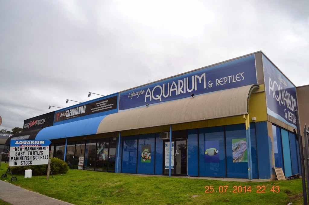 Lifestyle Aquarium & Reptiles | pet store | 13/445 Grimshaw St, Bundoora VIC 3083, Australia | 0394667881 OR +61 3 9466 7881