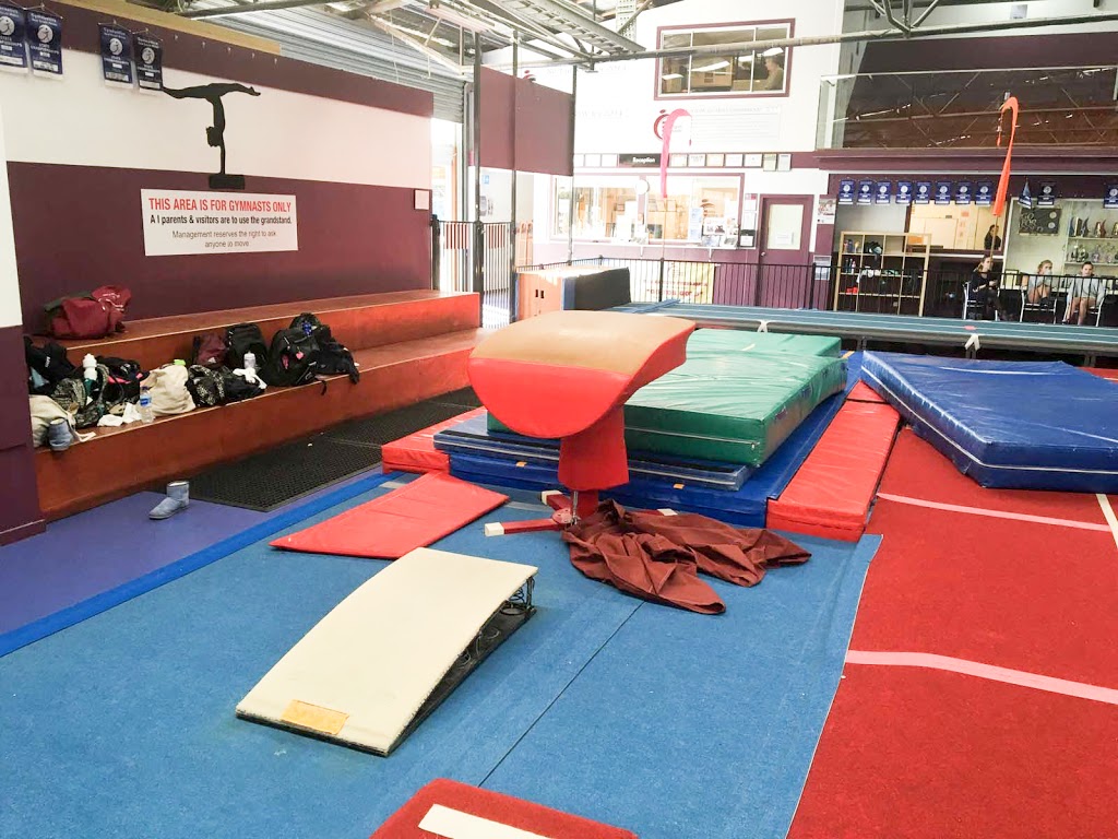Manly Warringah Gymnastic Club | gym | 24 Middleton Rd, Cromer NSW 2099, Australia | 0299729222 OR +61 2 9972 9222