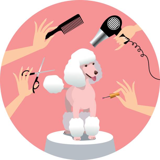 Floofy Dog grooming | 70 Lexton Rd, Strathfieldsaye VIC 3551, Australia | Phone: 0460 879 596