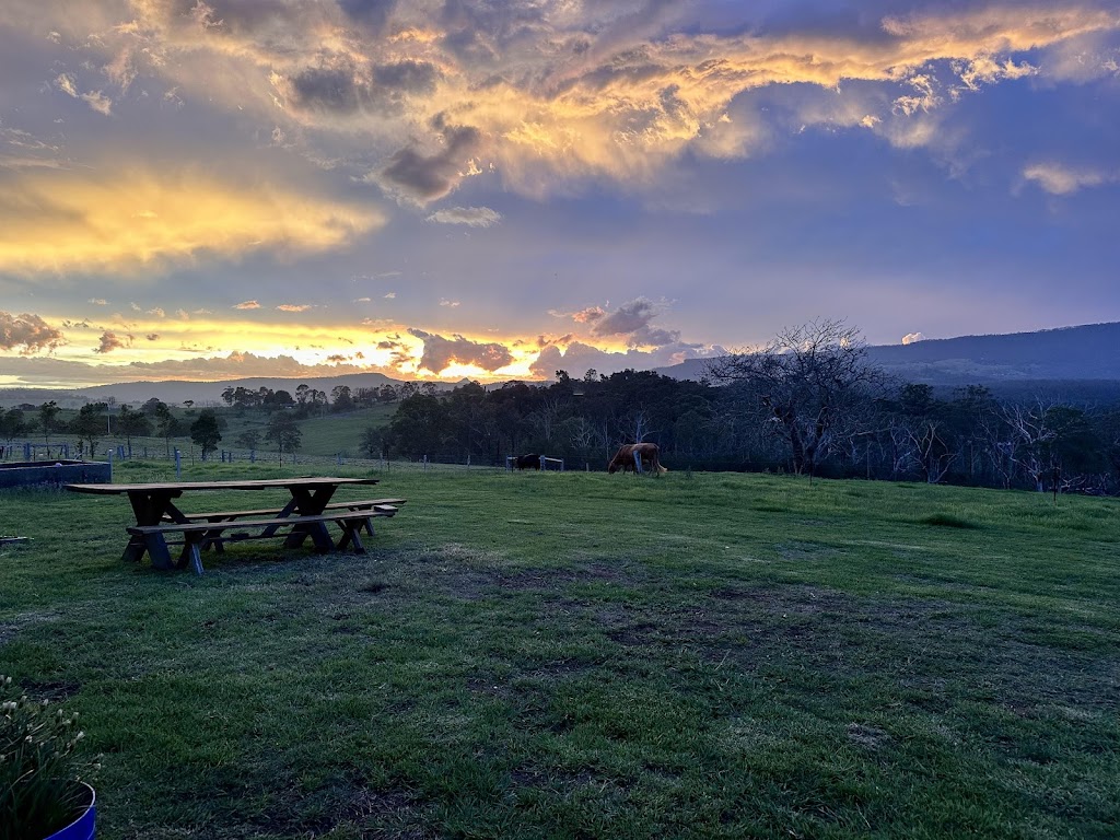 Figtree Cottage of Milton | 98 Little Frst Rd, Little Forest NSW 2538, Australia | Phone: 0414 313 157