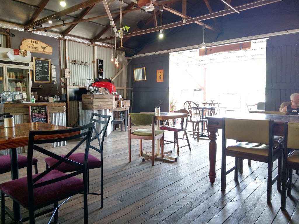 The Birds And The Beans | cafe | 114 Burnett St, Buderim QLD 4556, Australia