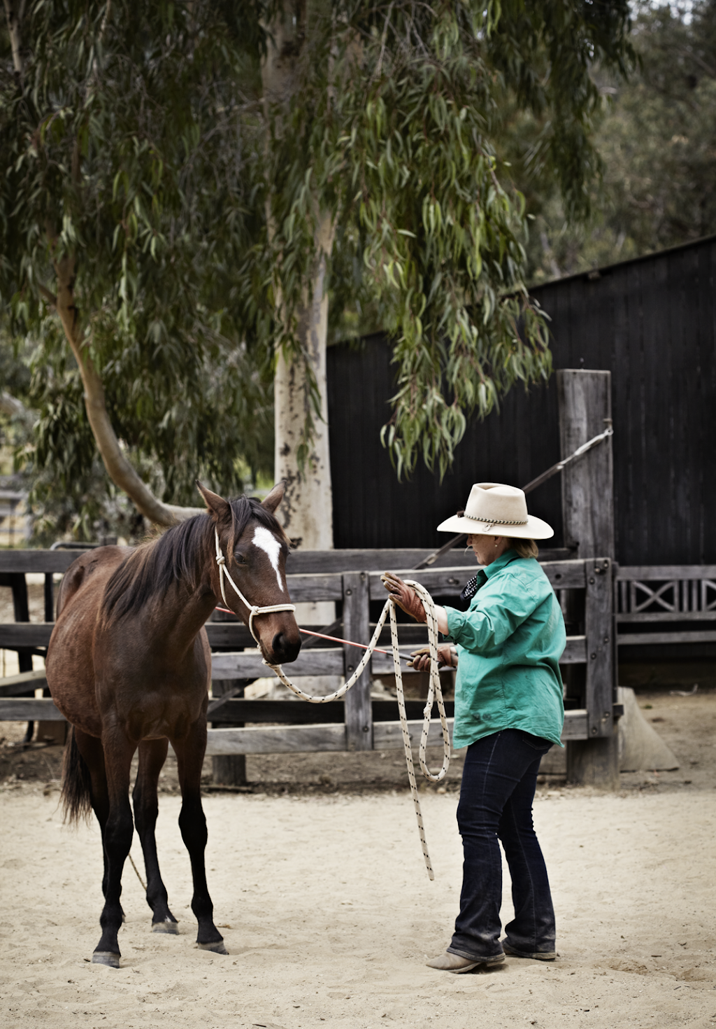 Bogong Horseback Adventures | travel agency | 52 Fredas Ln, Tawonga VIC 3697, Australia | 0357544849 OR +61 3 5754 4849