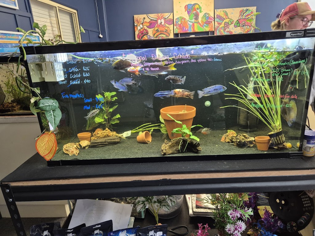 Fins and Fur | 52 Marshall St, Goondiwindi QLD 4390, Australia | Phone: 0448 507 158