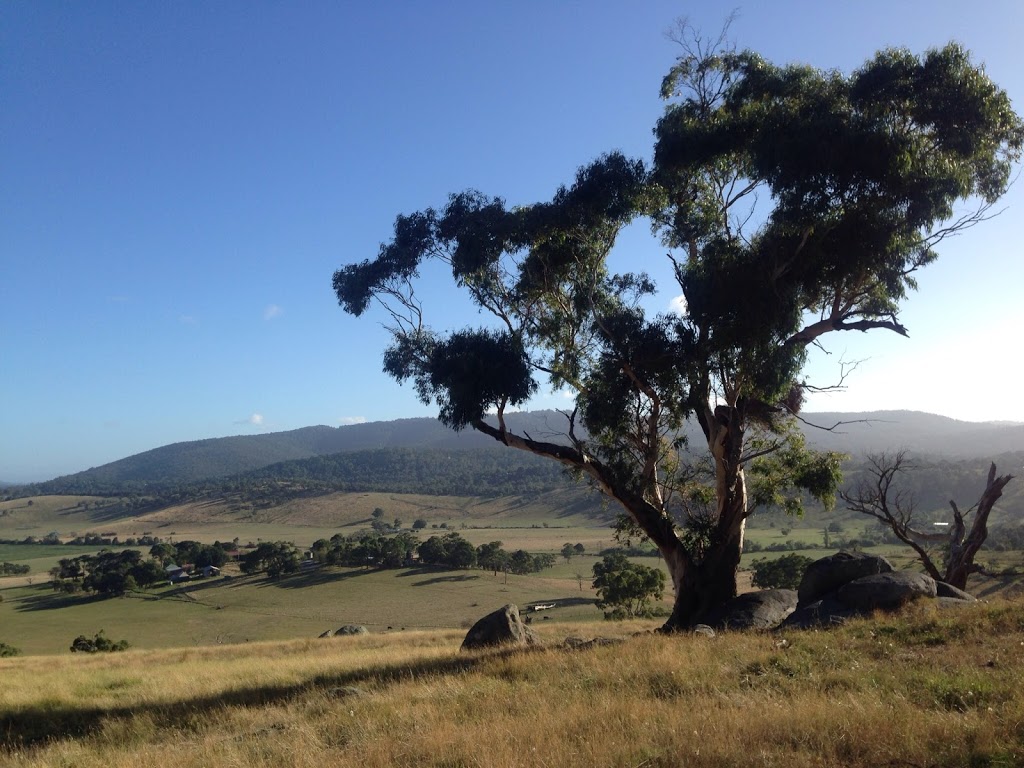 Granite Track Summit | Lysterfield VIC 3156, Australia