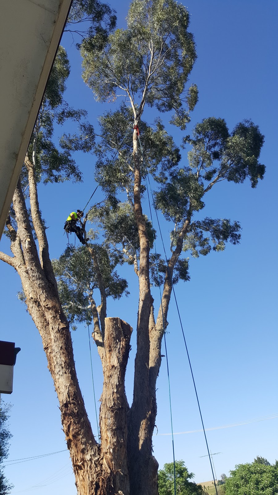 Northern Tree Solutions | park | 21 Stafford St, Broadford VIC 3658, Australia | 0409331052 OR +61 409 331 052