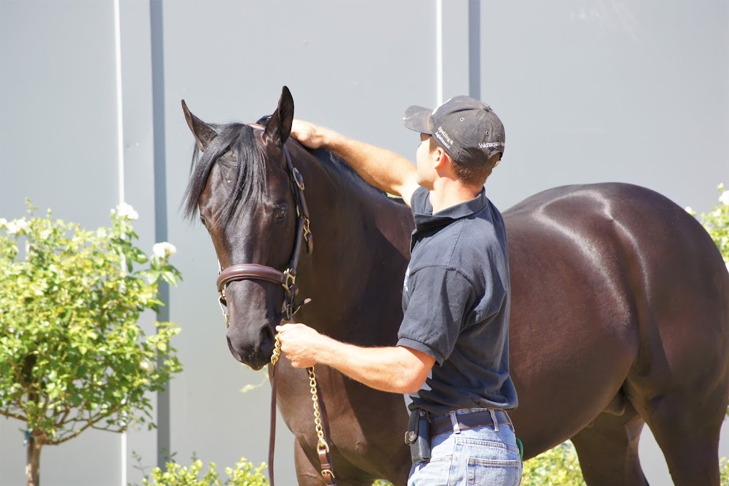 Watershed Farm | 1238 Moppity Rd, Young NSW 2594, Australia | Phone: 0428 821 390