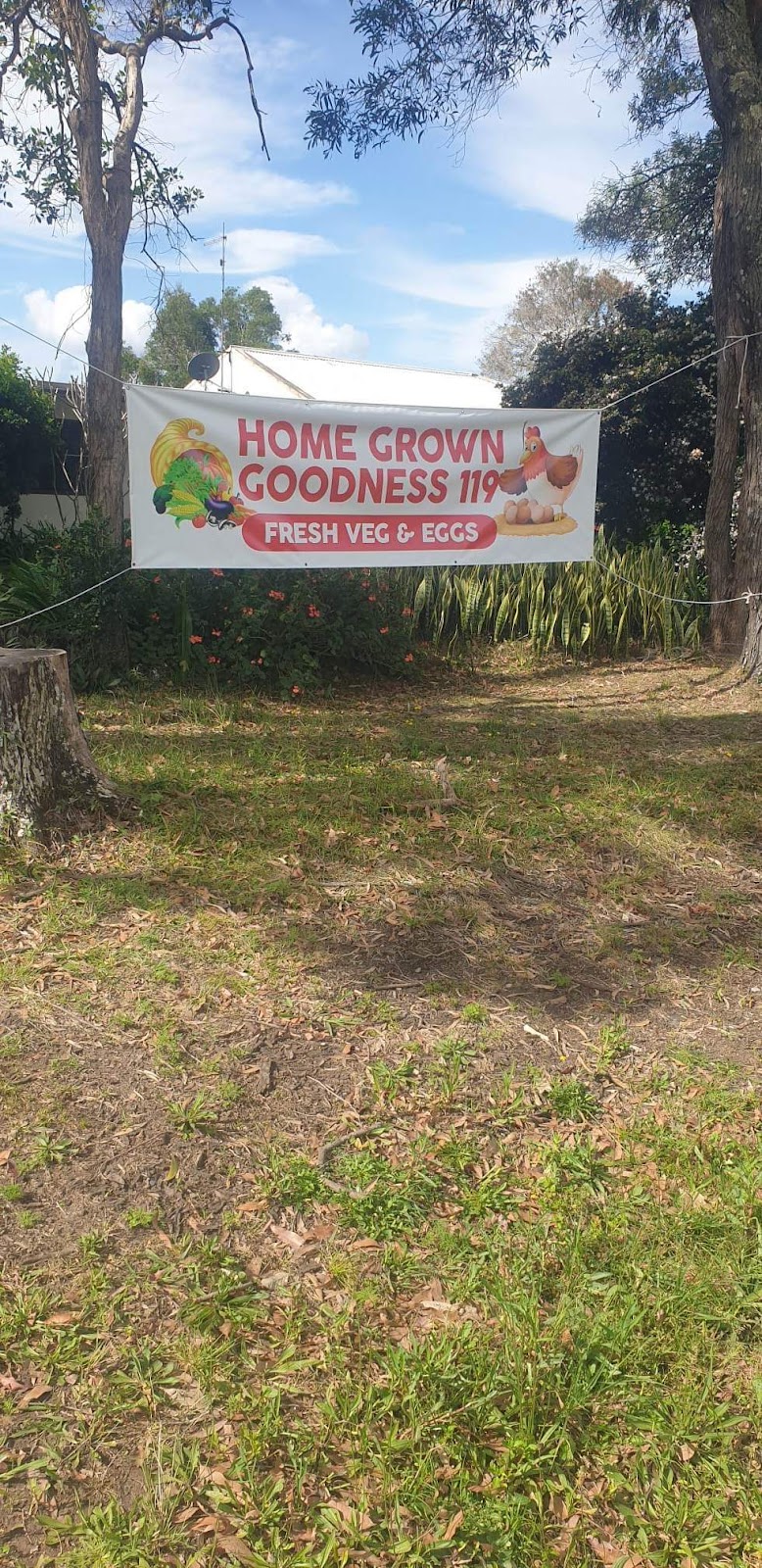 HomeGrownGoodness119 |  | 119 Jubilee St, Maclean NSW 2463, Australia | 0429225902 OR +61 429 225 902