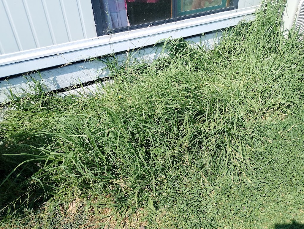 Settlers Rest Caravan Park | 111 Morrison Rd, Longwarry North VIC 3816, Australia | Phone: 0435 941 112