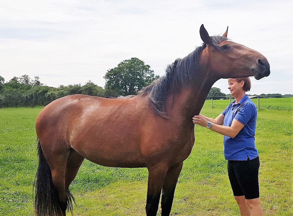 Balanced Animals | Douthie Rd, Seville VIC 3139, Australia | Phone: 0484 750 500