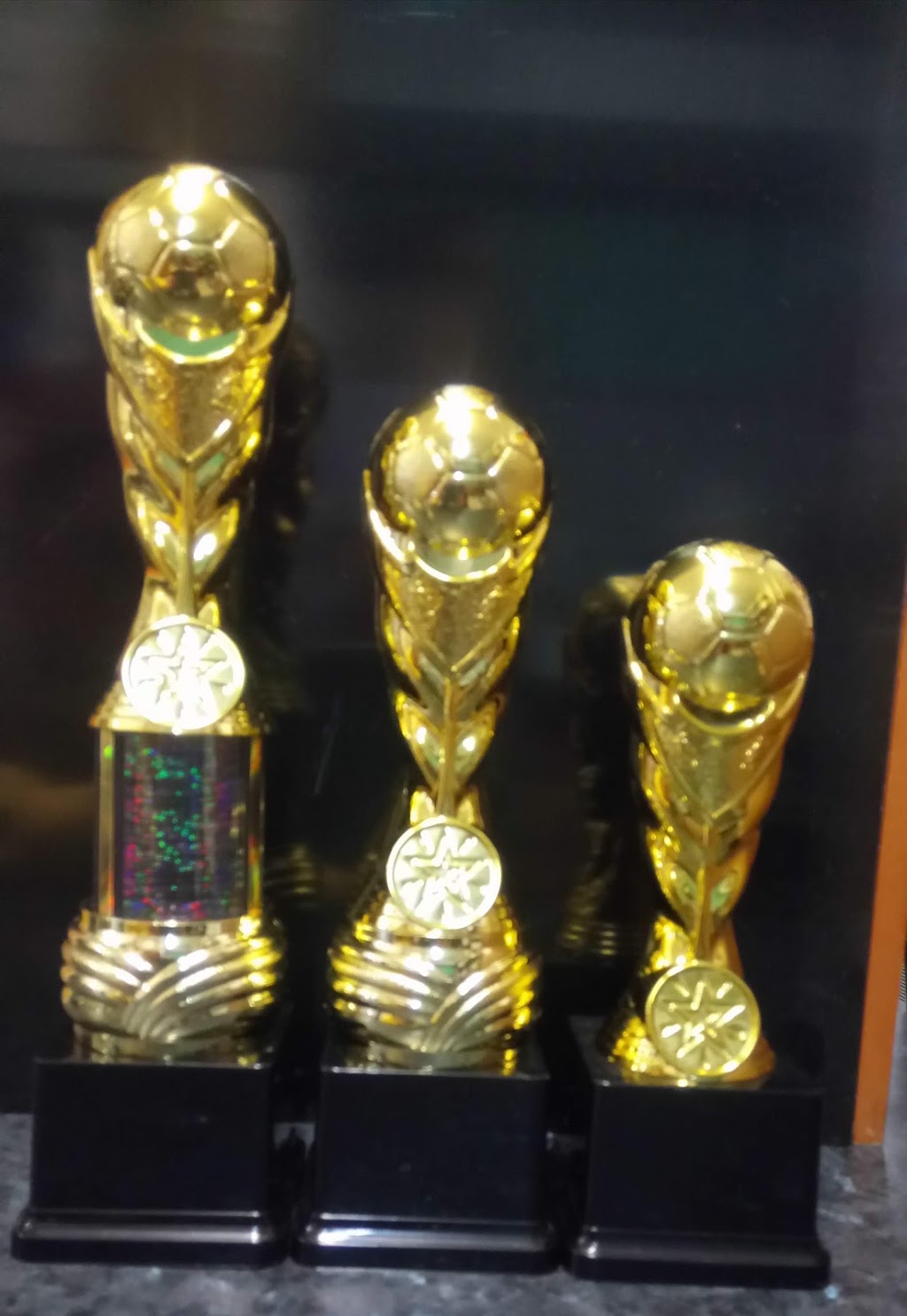 Central West Trophies & Embroidery | store | 5/212 Anson St, Orange NSW 2800, Australia | 0263617393 OR +61 2 6361 7393