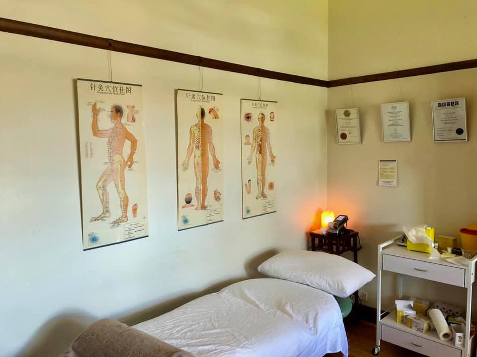 Pivotal Chinese Medicine Clinic | doctor | 45 Bena St, Yarraville VIC 3013, Australia | 0399946387 OR +61 3 9994 6387