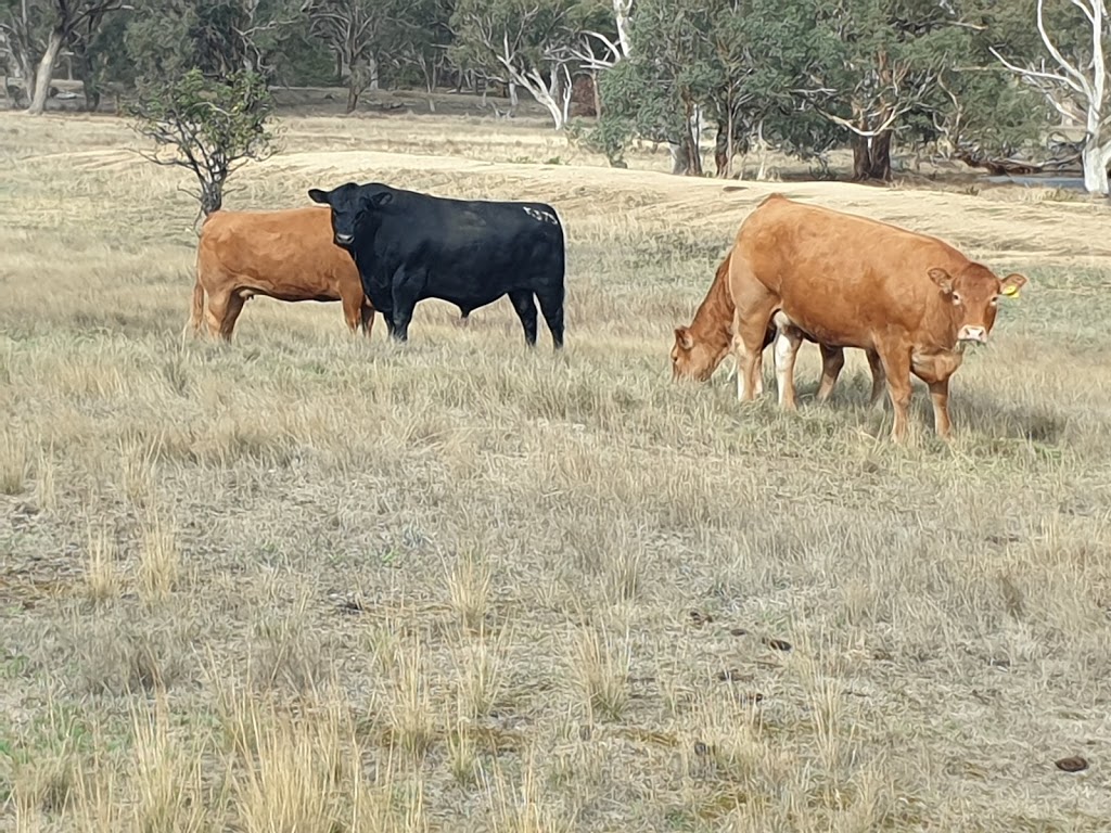 Walsh livestock | food | 20 Church Hall Rd, Parkesbourne NSW 2580, Australia | 0414571650 OR +61 414 571 650