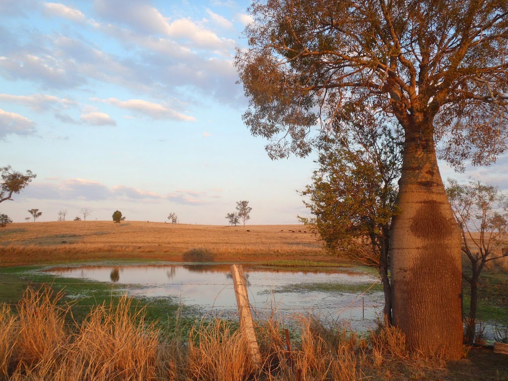 Jerakala Beef | 20024 Burnett Hwy, Mundubbera QLD 4626, Australia | Phone: (07) 4165 4909