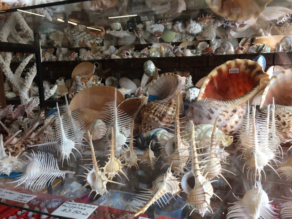 Griffiths Sea Shell Museum | museum | 125 Esplanade, Lakes Entrance VIC 3909, Australia | 0351551538 OR +61 3 5155 1538