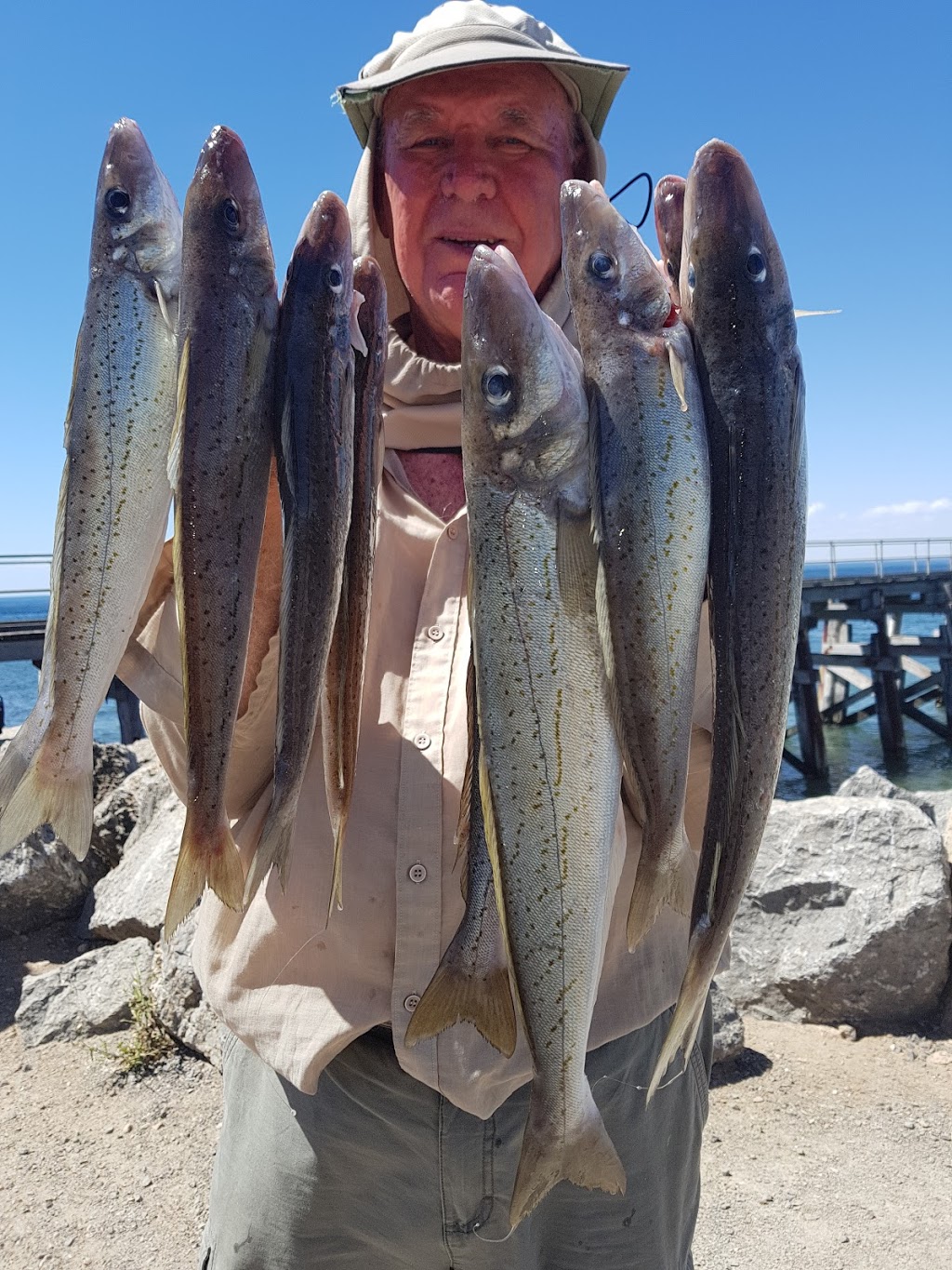 Reel Screamer Fishing Charters |  | 1 Captain Hutchinson Dr, Point Turton SA 5575, Australia | 0439680937 OR +61 439 680 937