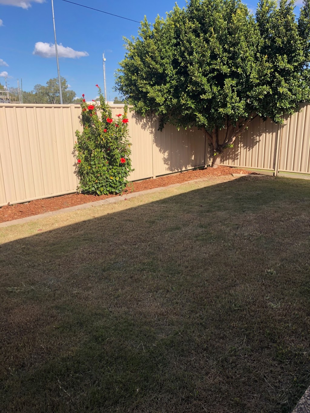 Diamond Lawn & Garden Australia | 6/44 Kassidy Dr, Emerald QLD 4720, Australia | Phone: 0418 382 749