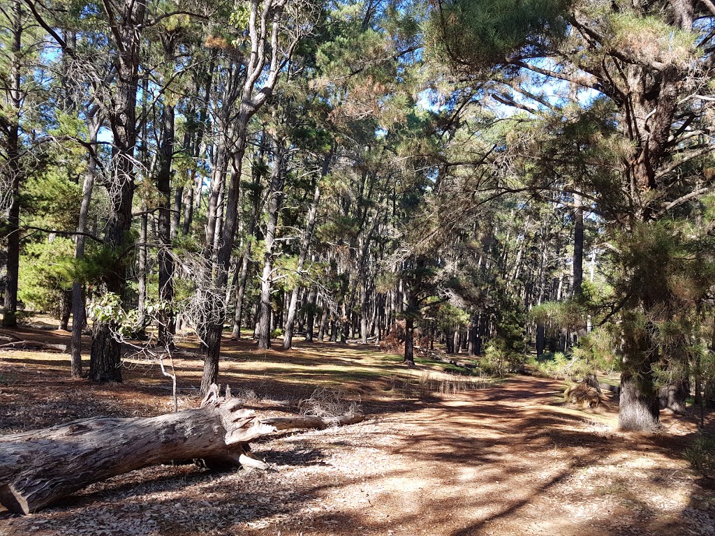 Gooralong Park | Jarrahdale WA 6124, Australia