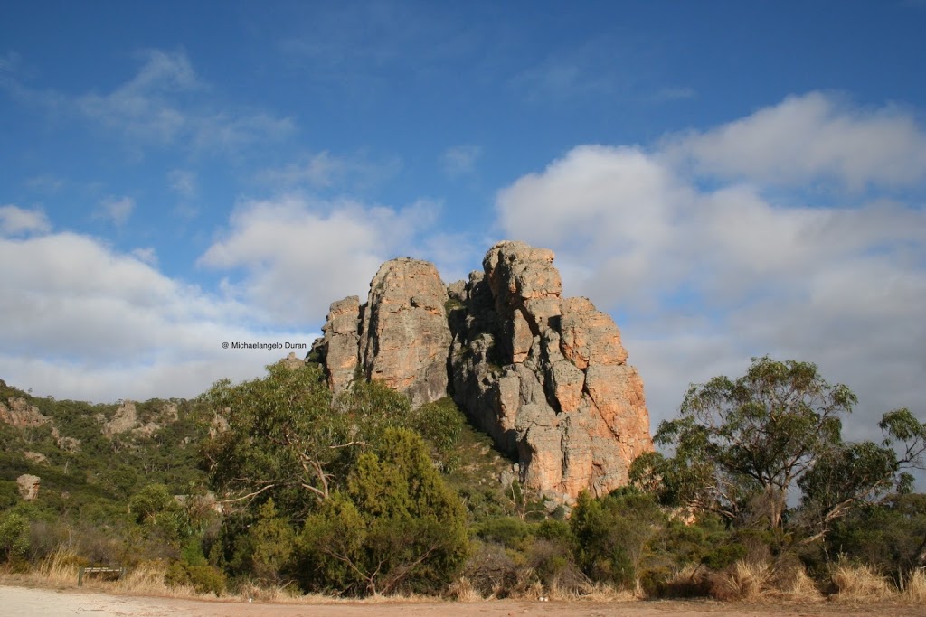 The Pines | campground | Centenary Park Rd, Arapiles VIC 3409, Australia